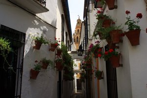 20090614_andaluciatrp_64_cordoba1